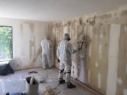 Why You Should Choose Our Mold Remediation Services in Onarga, IL